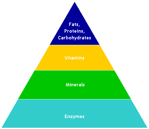 Metabolic Food Pyramid