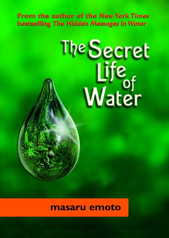 The Secret Life of Water, by Masaru Emoto